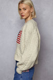 USA Flag Sweater