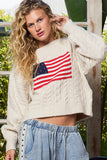 USA Flag Sweater