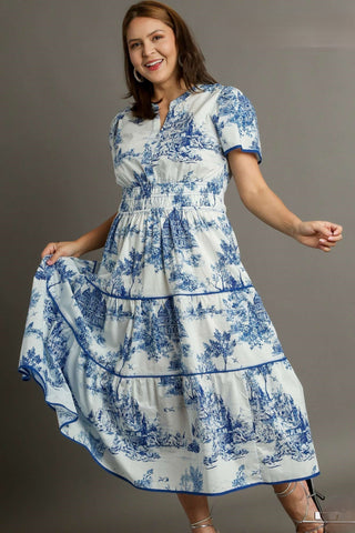 The Blue Toile Dress